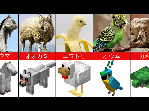 実生活で別の惑星からのMinecraftの動物「比較」