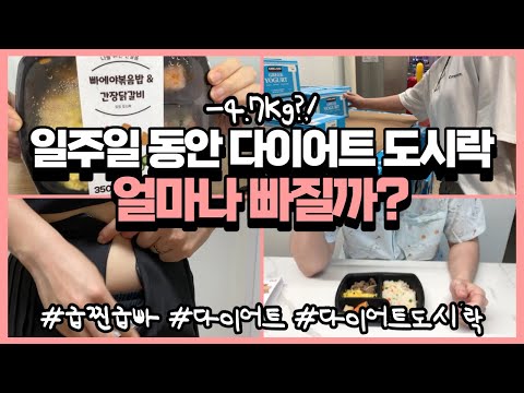 운동없이 일주일 동안 다이어트 도시락 먹으면 몇kg 빠질까?  I 단기 다이어트 I 작심두잇 도시락 후기