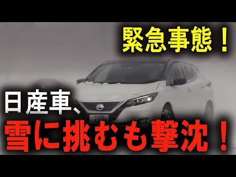 日産車に隠された真実！？電装系不具合の謎が深まる！