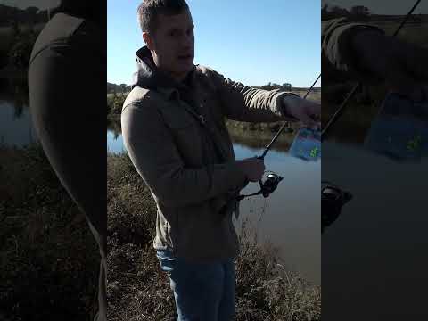 Bank Fishing Bobby Garland Baits!