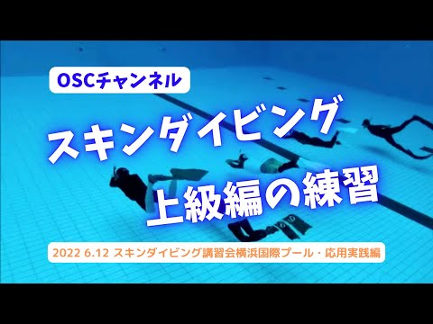 ５０ｍ往復潜水成功者も！？上級クラスの練習を見てみよう！フォームチェックもありますよ！OSCスキンダイビング講習会・横浜国際プールのダイビングプール（水深5メートル）