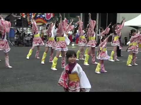 桜道里　2024 第22回智頭町　来んさい見んさい踊りん祭　#１