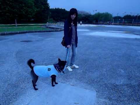 20130428 華中練腳側with黃1