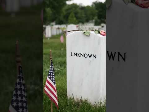 We Honor and Remember this Memorial Day #shorts #memorialday #shortsfeed #youtubeshorts