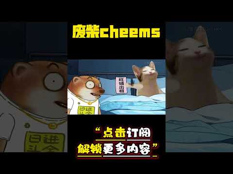 如何被拿捏 #cheems #爱情 #搞笑 【废柴cheems】