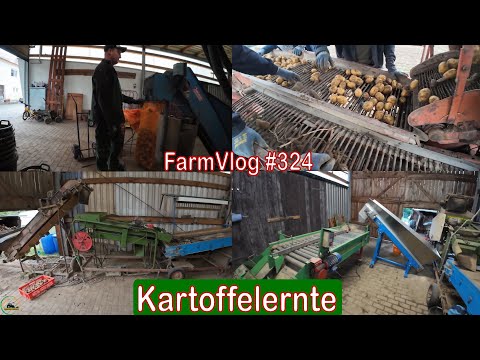 Farmvlog #324: Kartoffelernte | Sortieranlage wieder defekt