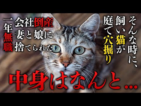 【不思議な話】「これじゃあもう生活していくのは無理。娘と実家に帰ります」そう言い残し家を出て行ってしまった妻。すると残された猫が不思議な行動をし始め…「実家の庭にこんなものが…」【朗読】