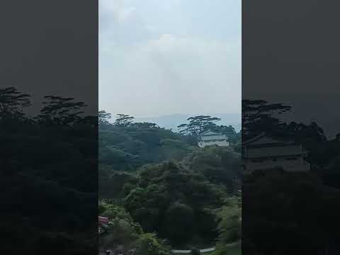 山上走走 碧雲寺到此一遊~ #關仔嶺 #碧雲寺