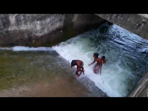 My village canal !!Children are jumping in the canal  !!Reminds me of childhood