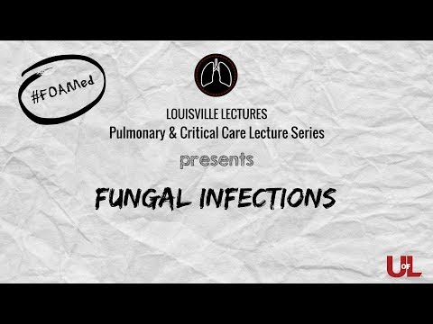 Fungal Infections with Dr. Alex Ng