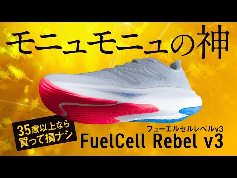 【ケガがなくなる】フューエルセルレベルv3（モニュ神さま）のレビュー