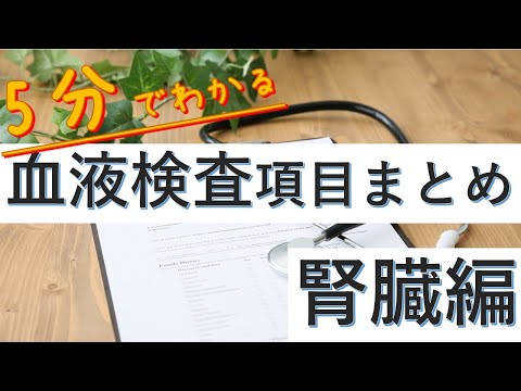 【5分でわかる】検査値～腎臓編