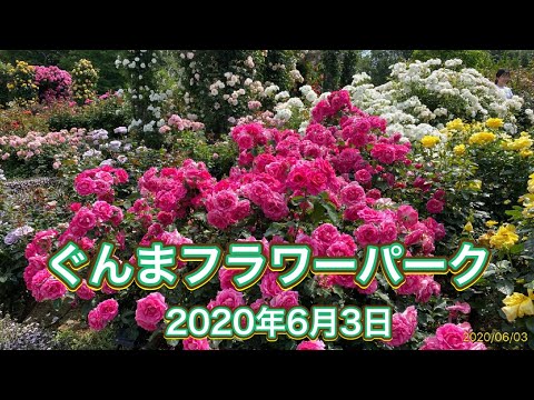 ぐんまフラワーパーク 2020年6月3日