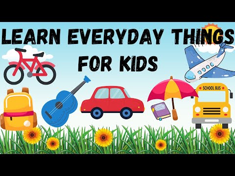 Explore Everyday Words | Fun Learning with Visuals for Kids