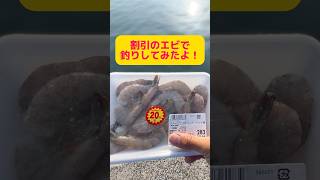 なにこの魚！？#釣り #アウトドア