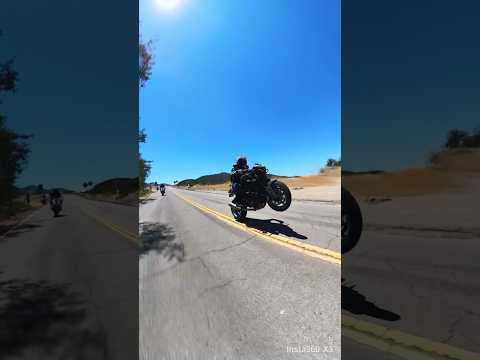 Yamaha R6 track Bike Raw Sound #bikelife #motorcycle #sportbike