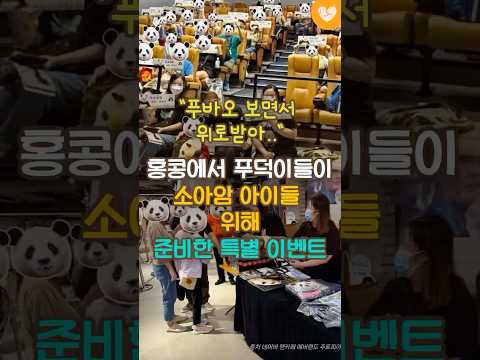 홍콩에서 푸덕이들이 소아암 아이들 위해 준비한 특별 이벤트 #푸바오 #안녕할부지 #shorts