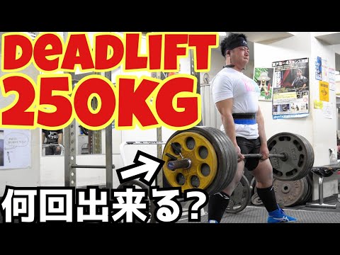 250kgのデッドリフト何回出来る？/パワーリフティング