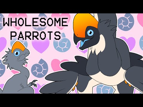 Wholesome Parrots Animation Meme