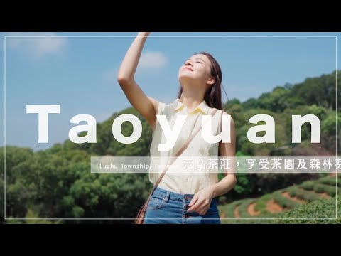 桃園市蘆竹區休閒農場旅遊廣告｜商業廣告｜Commercial Video｜小甜筒影像制作