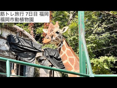 【筋トレ旅行7日目】 福岡 福岡市動植物園