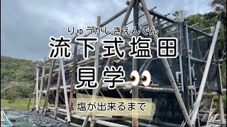 【対馬】流下式塩田　栄養たっぷりな塩が出来るまでin赤島