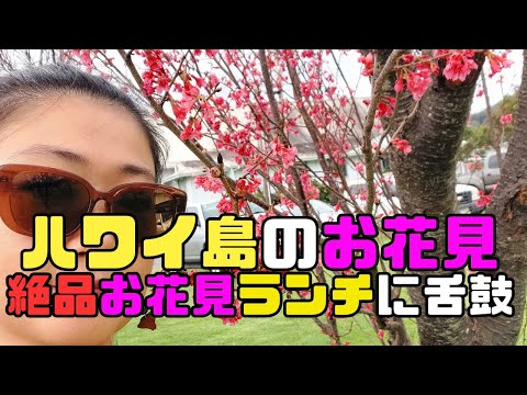 【ハワイ島お花見&お寿司情報】桜咲くワイメア、お一人様お花見大会&ハワイ島1美味しい寿司