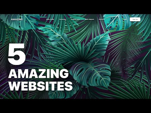 5 Inspirational Website Designs