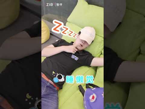 ZIB 智伴 免费送