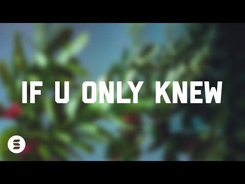 If U Only Knew | Official Lyric Video | Switch feat. Dillon Chase