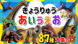 【恐竜 あいうえお】きょうりゅうの名前でひらがなを覚えよう！アンキロサウルス イグアノドン ヴェロキラプトル など87種類の恐竜が大集合！【子供向け 恐竜アニメ】