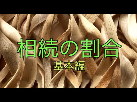 相続できる割合はこれだ！【基本編】