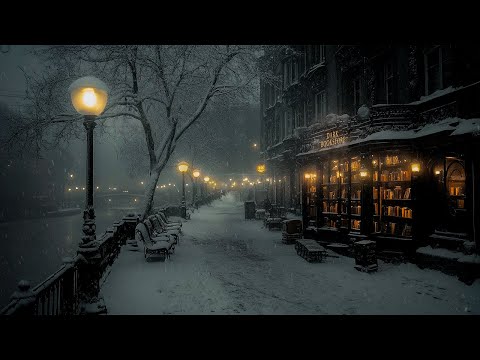 A Quiet Snowy Evening | Dark Bookstore Walks in a Snowy Gothic City | Dark Academia Vibes