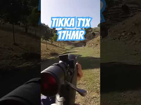 Tikka T1X 17HMR #ozziereviews #tikka #17hmr #shooting #firearms #plinking #accuracy #viralshorts