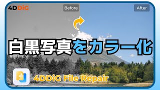 白黒写真を簡単にカラー化｜無料アプリやサイトの紹介【4DDiG File Repair】