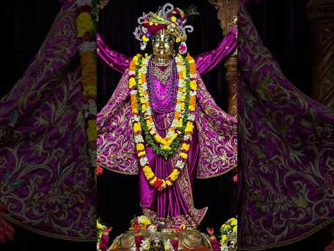 ♥️ Today's darshan of narasimha Deb, Radha Madhav, panchatatwa divine ♥️ 24/12/2024 #mayapuriskcon