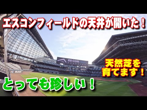 エスコンフィールドの天井が開いた！めったに開けない！