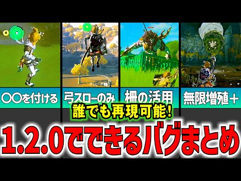 【ティアキン】５秒でマスター！バージョン1.2.0になって発覚した新しいバグ技まとめ！