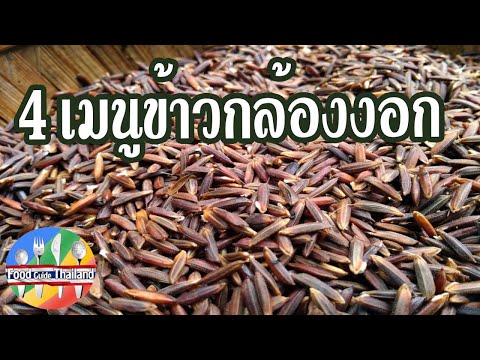 4 เมนูข้าวกล้องงอก : Food Guide Thailand