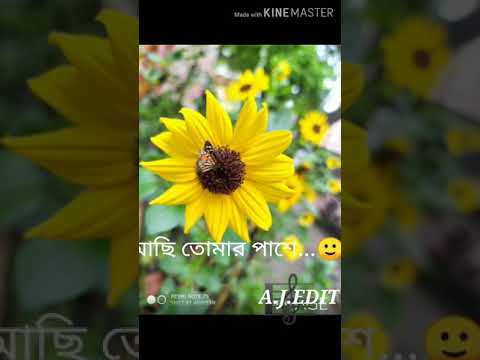 💔Sad song WhatsApp status 💔