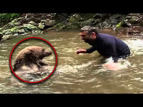 Mama Bear Does This after Man Saves Her Drowning Cubs