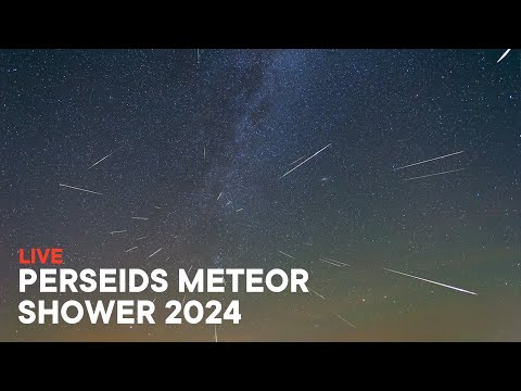 Perseids Meteor Shower 2024 Live from UK [4K]