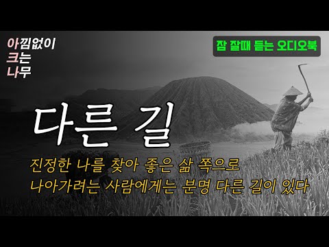 🌙잠 잘 때 듣기 좋은 힐링 에세이│박노해  '다른 길'│수면 낭독│오디오북 책읽어주는여자 │ASMR