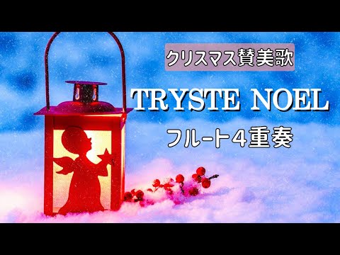 【クリスマス讃美歌】TRYSTE NOEL🎄フルート４重奏