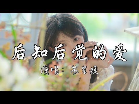 苏星婕 - 后知后觉的爱『其实我 想要的很简单，可你都觉得麻烦  连最普通的陪伴  都是奢侈的期盼。』『动态歌词MV』