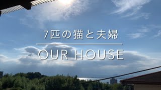 OUR HOUSE 2  ７匹の猫と夫婦の暮らし　　　　　　　2024年7月31日