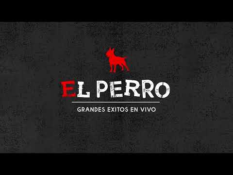 El Perro - Quieres Ser Mi Amante (Cover Video)