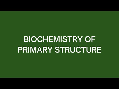 Biochemistry of Primary Structure