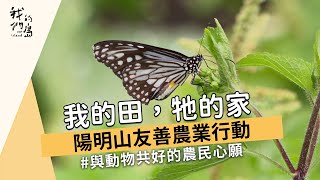 【友善農業】我的田，牠的家｜陽明山友善農業行動(我們的島 1184集 2022-12-12)