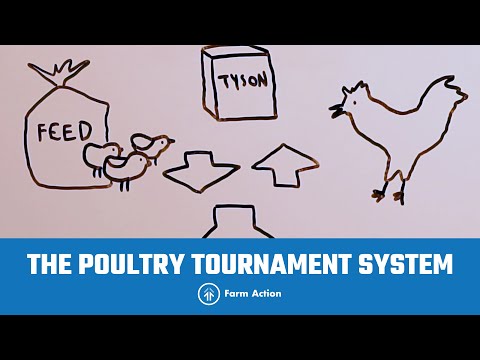 End the abusive poultry tournament system!